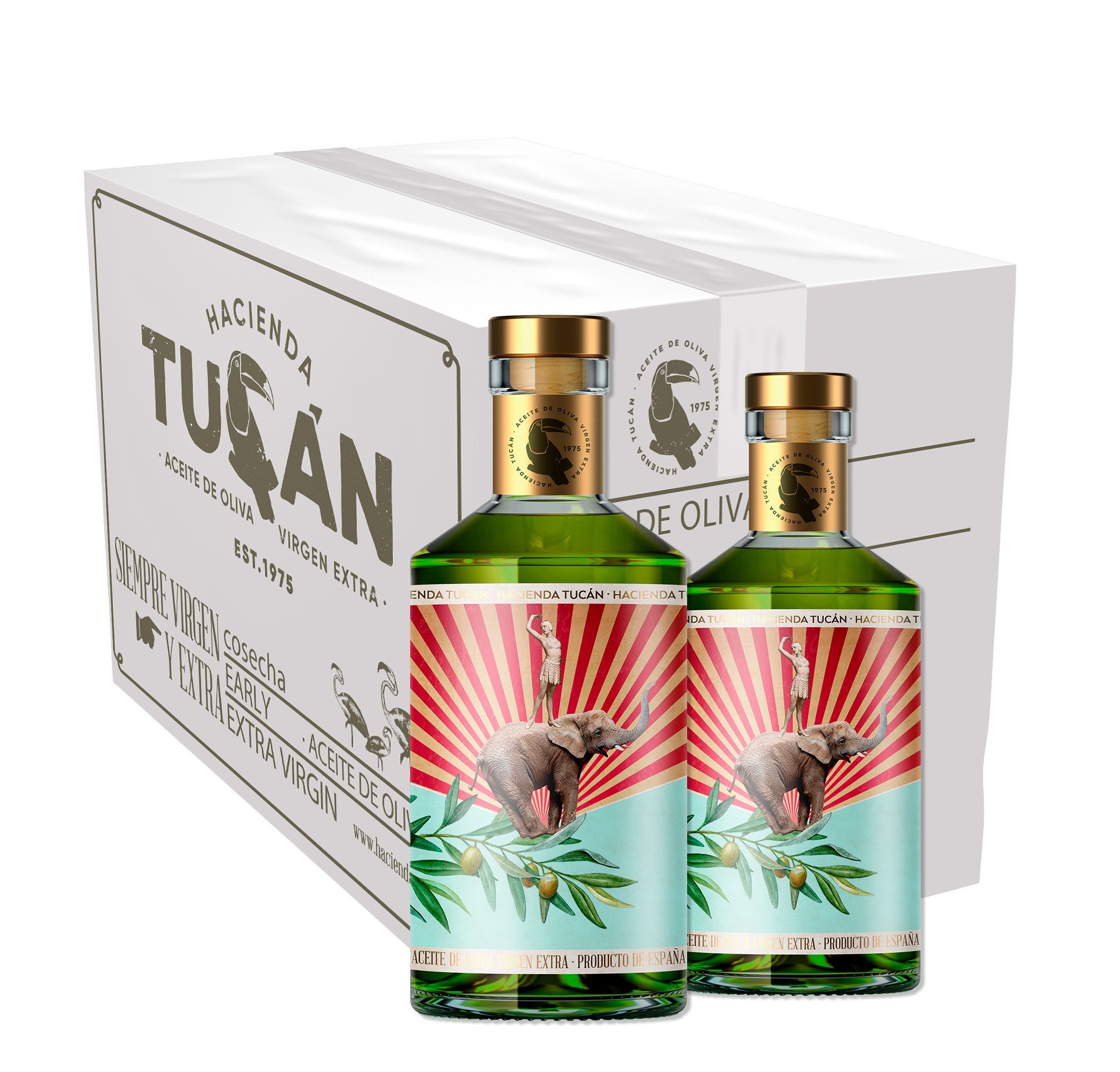 Caja de 6 botellas de cristal de 500 ml de AOVE Arbequina (cosecha temprana)